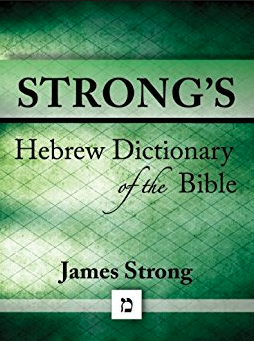 strongs hebrew dictionary